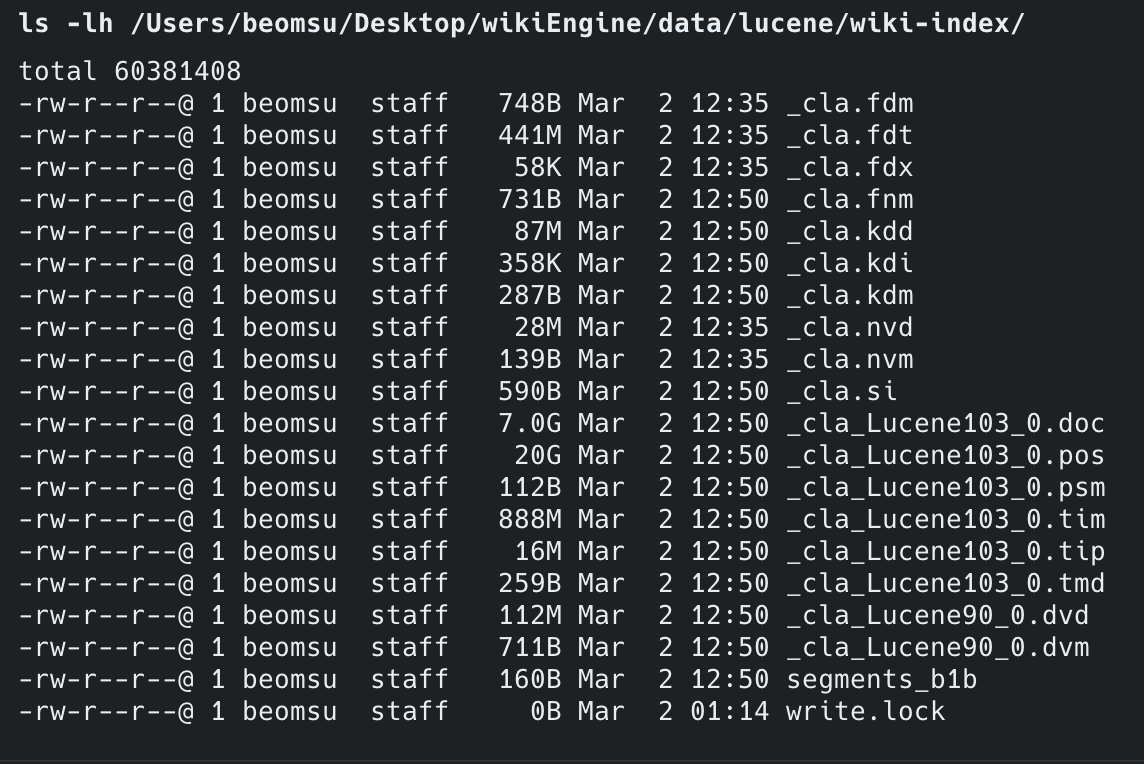 인덱스 파일 목록 — 단일 세그먼트(_cla), 29GB, forceMerge(1) 완료