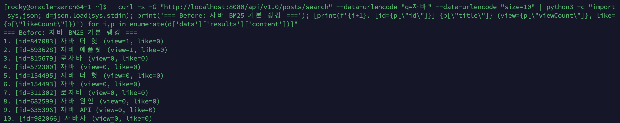Before — 자바 BM25 랭킹 (터미널)